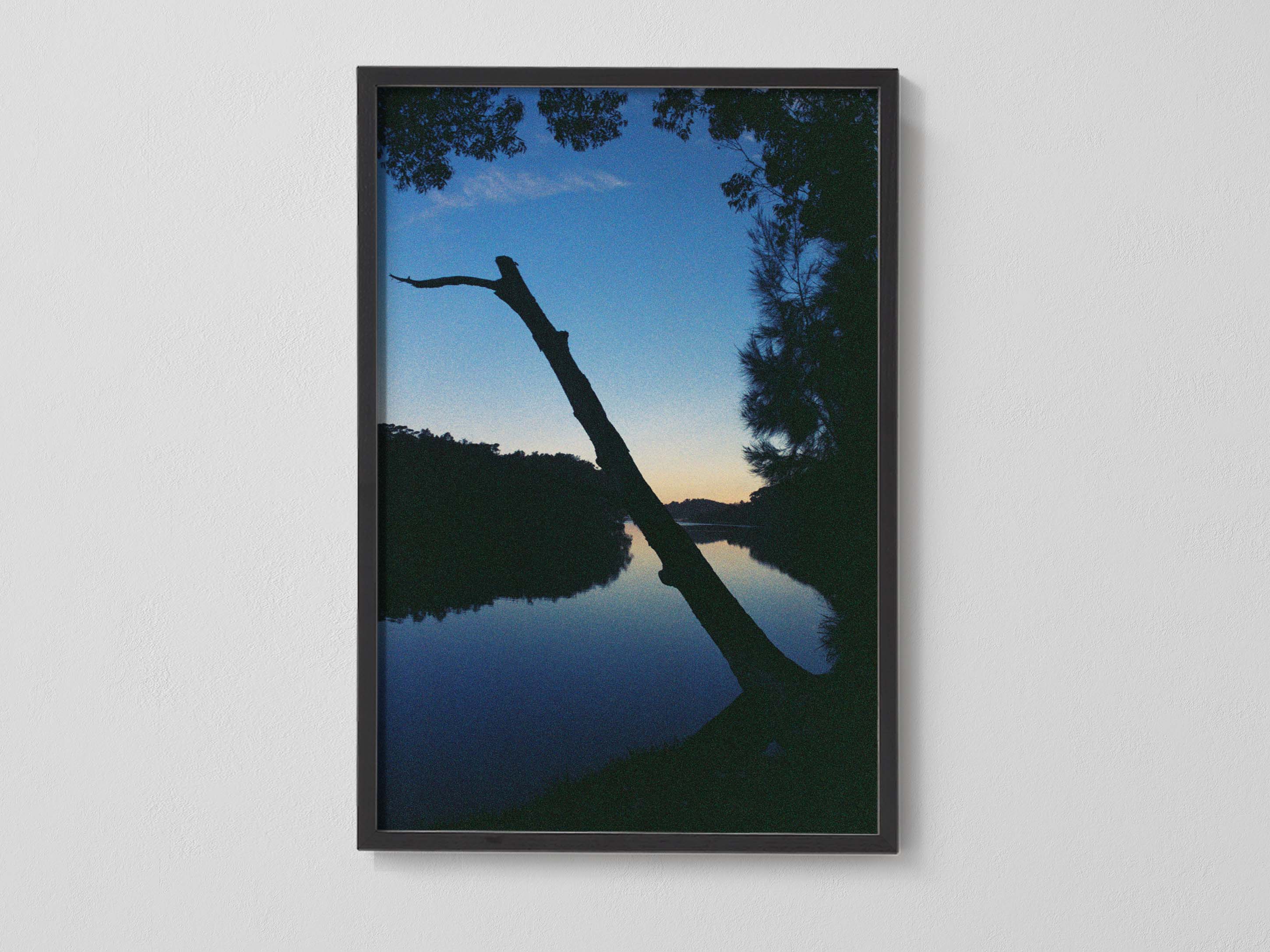 Blue Dusk