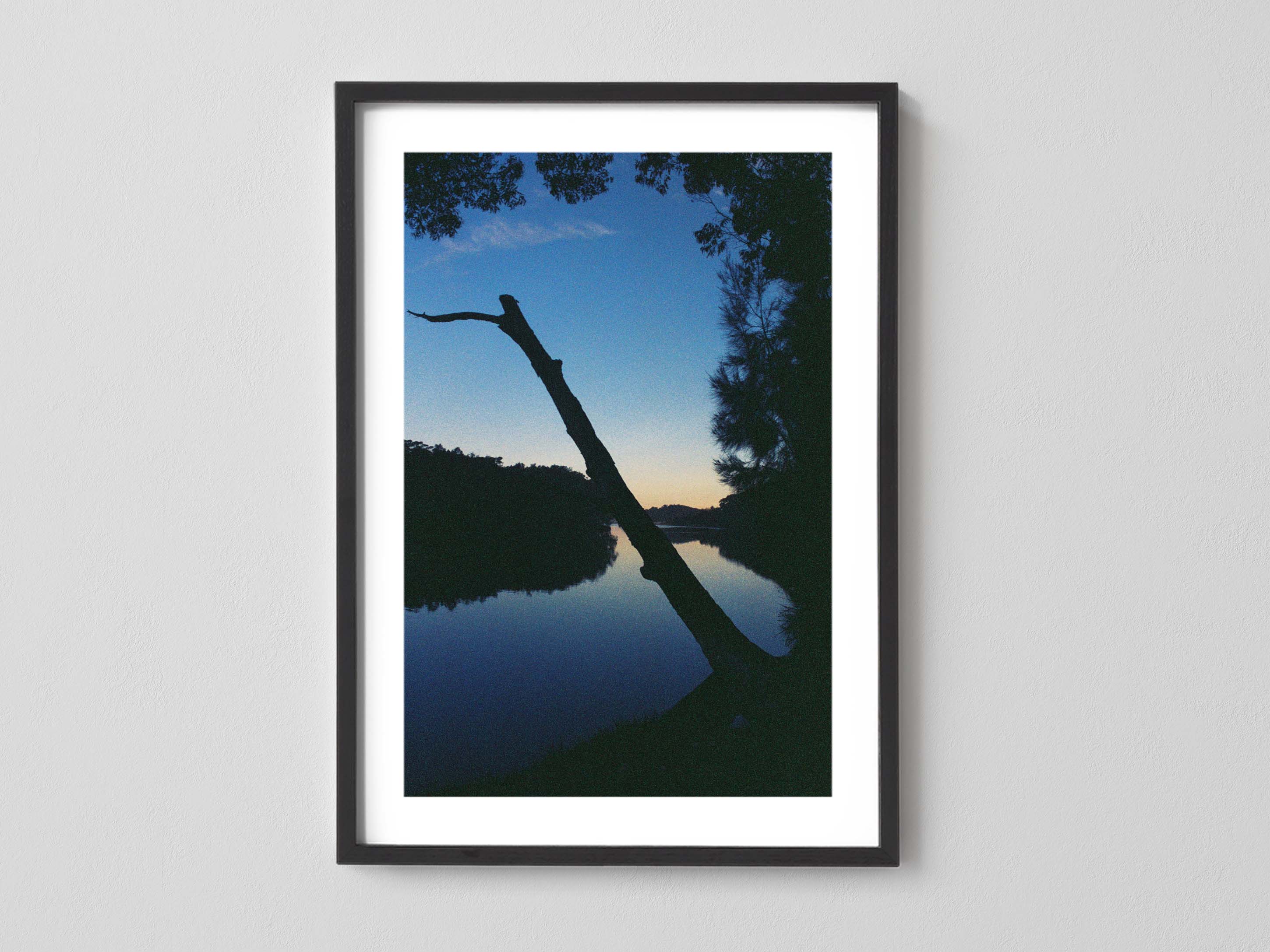 Blue Dusk