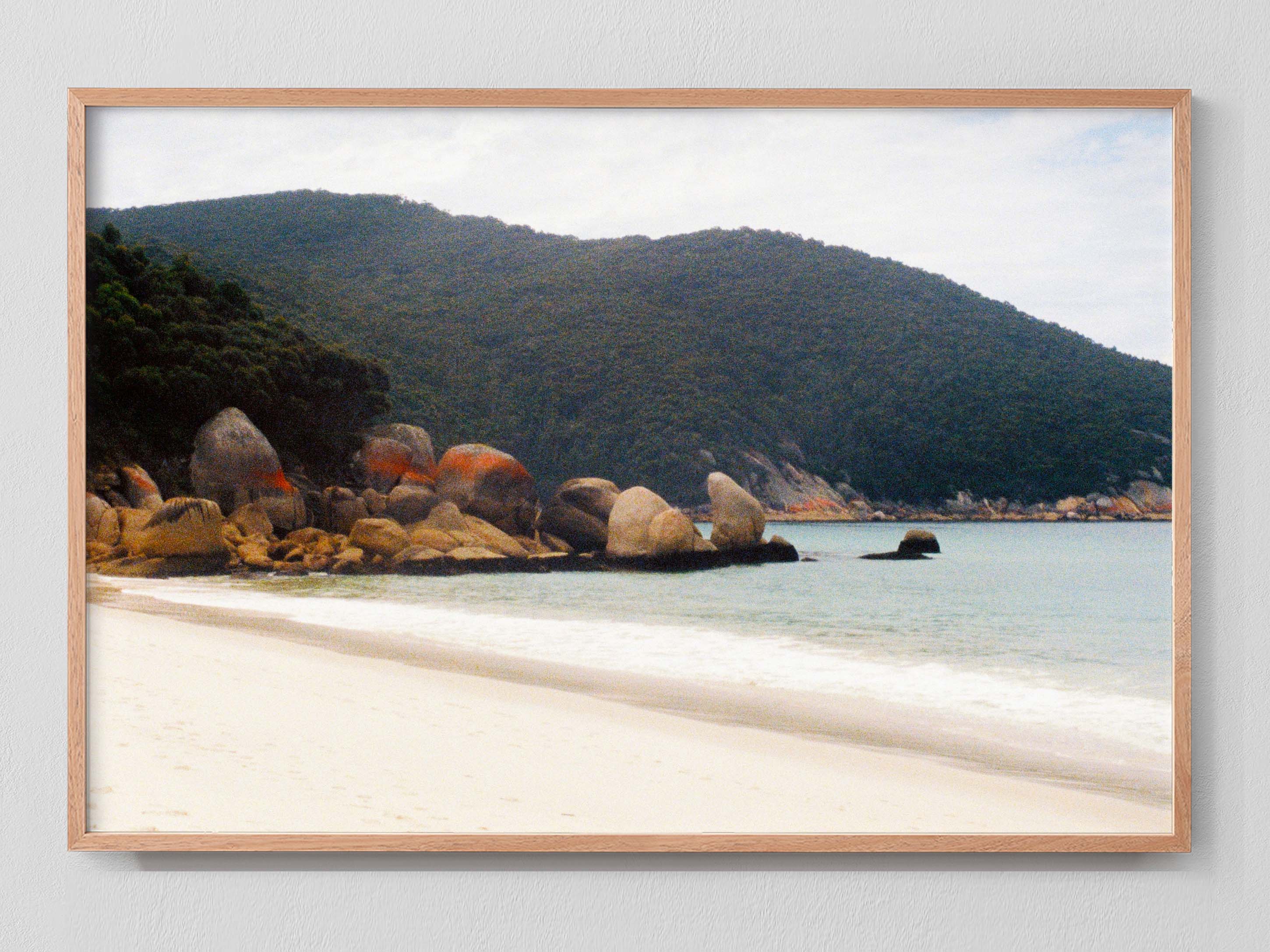 Cove