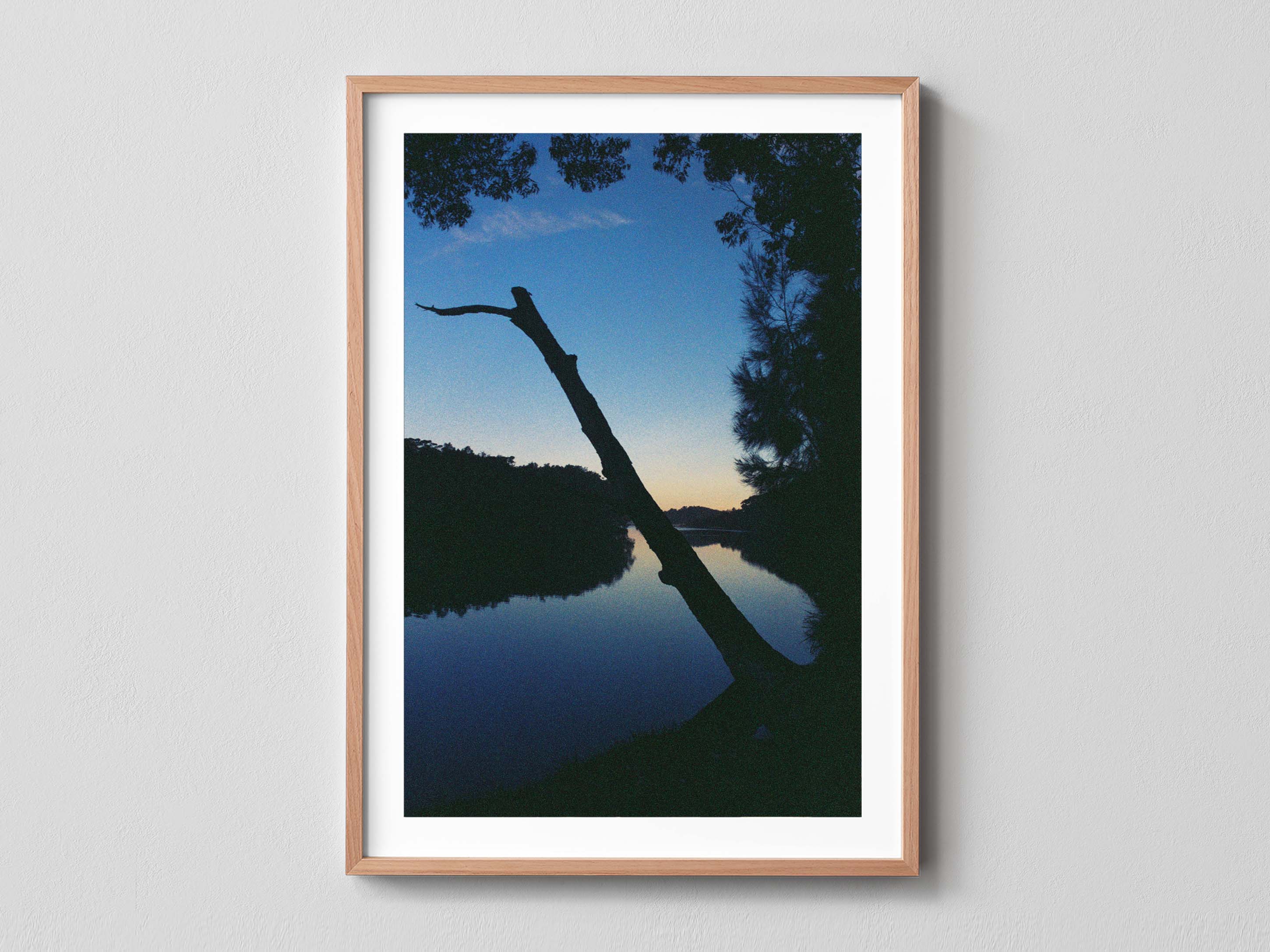 Blue Dusk