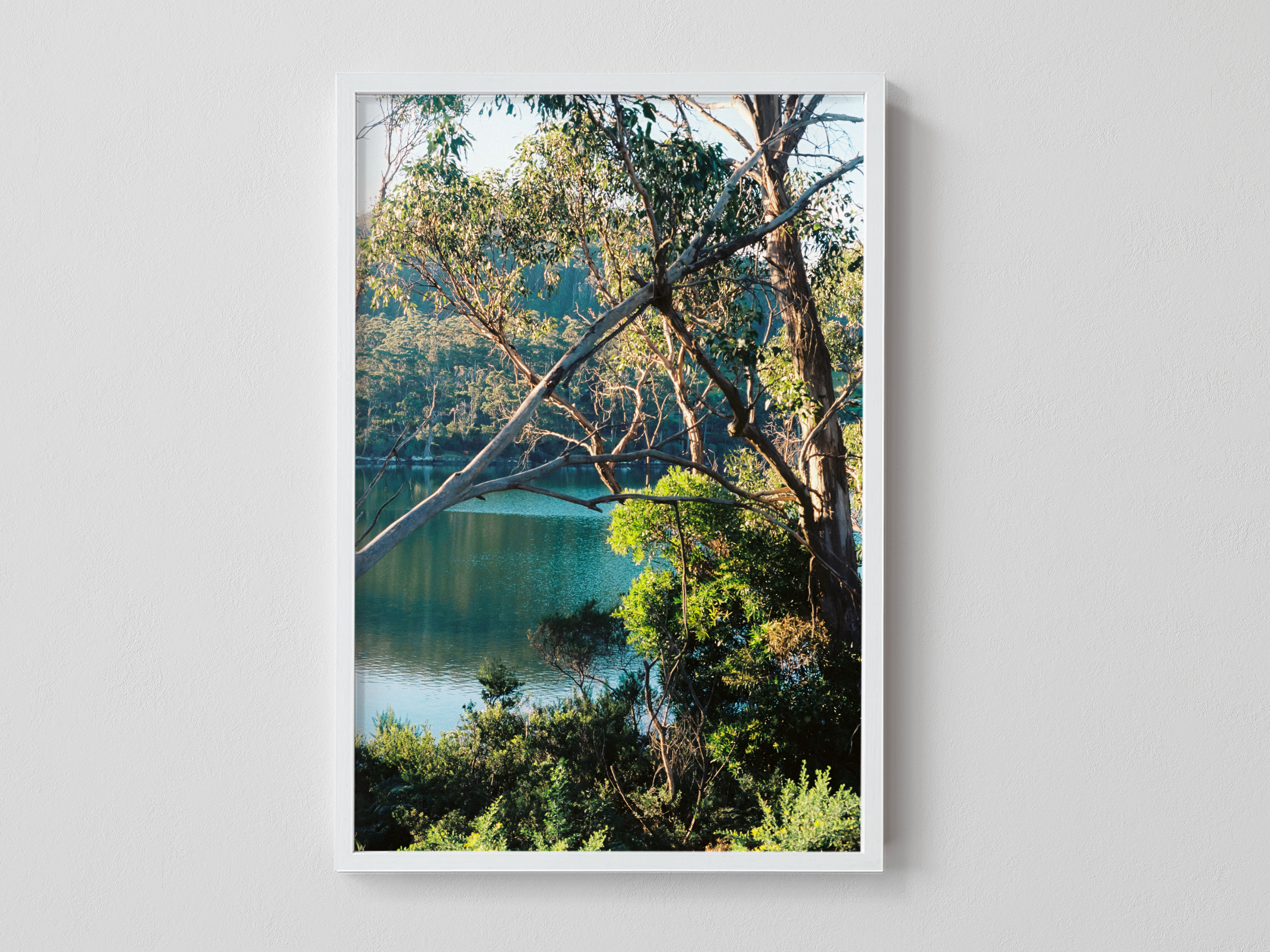 Turquoise River