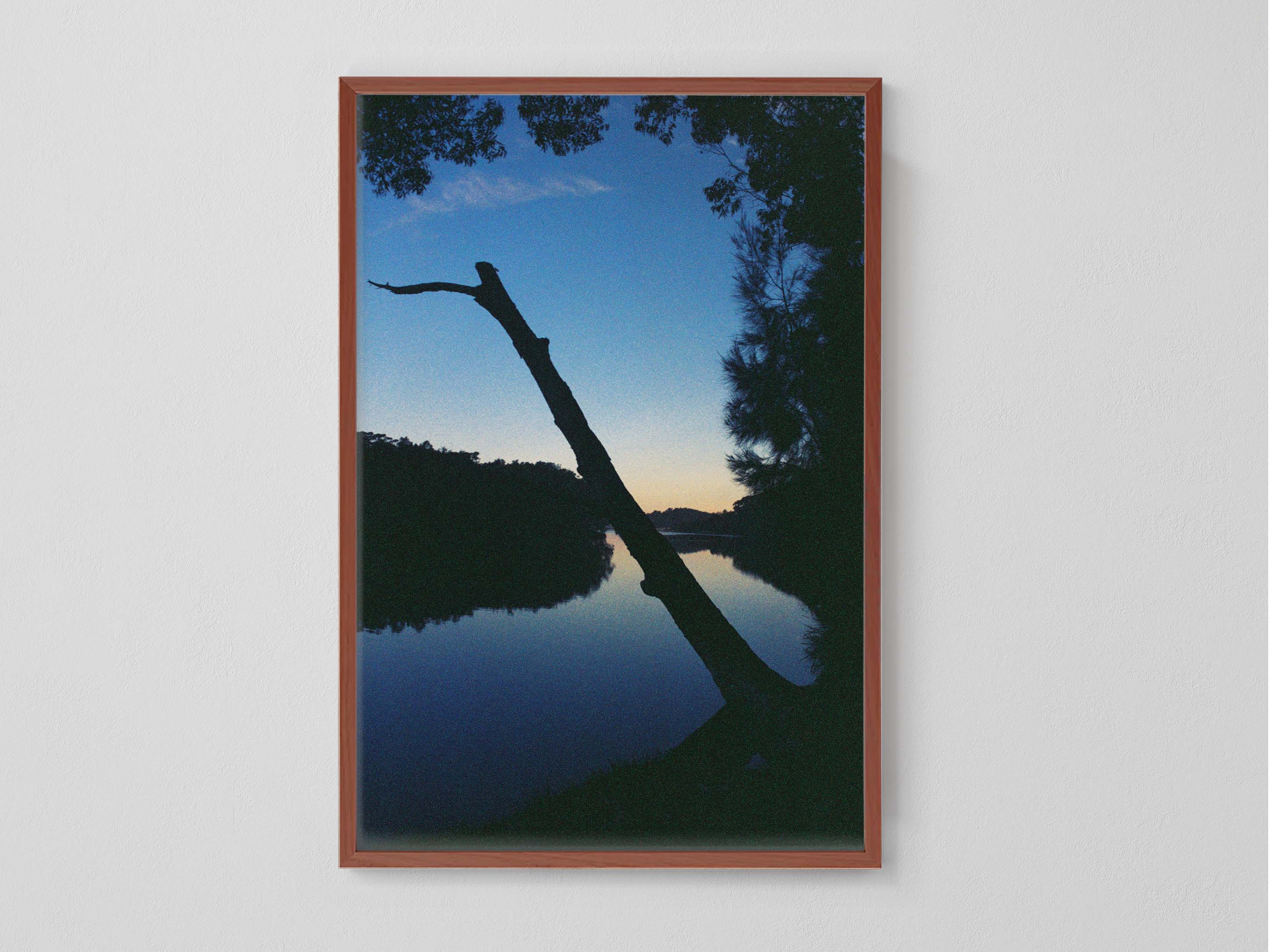 Blue Dusk