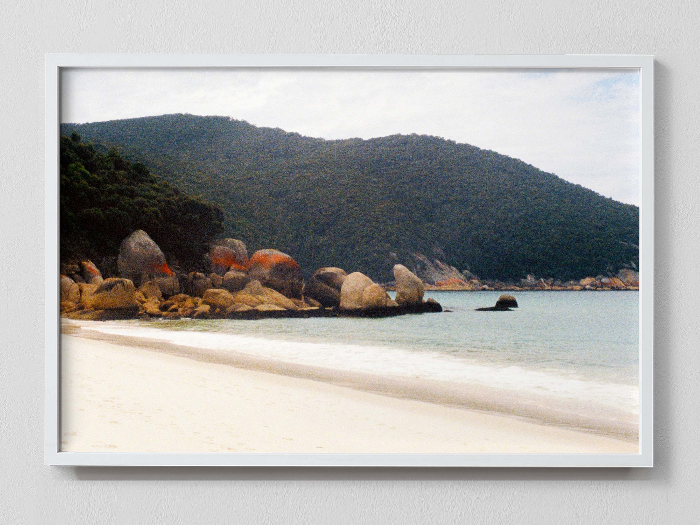 Cove
