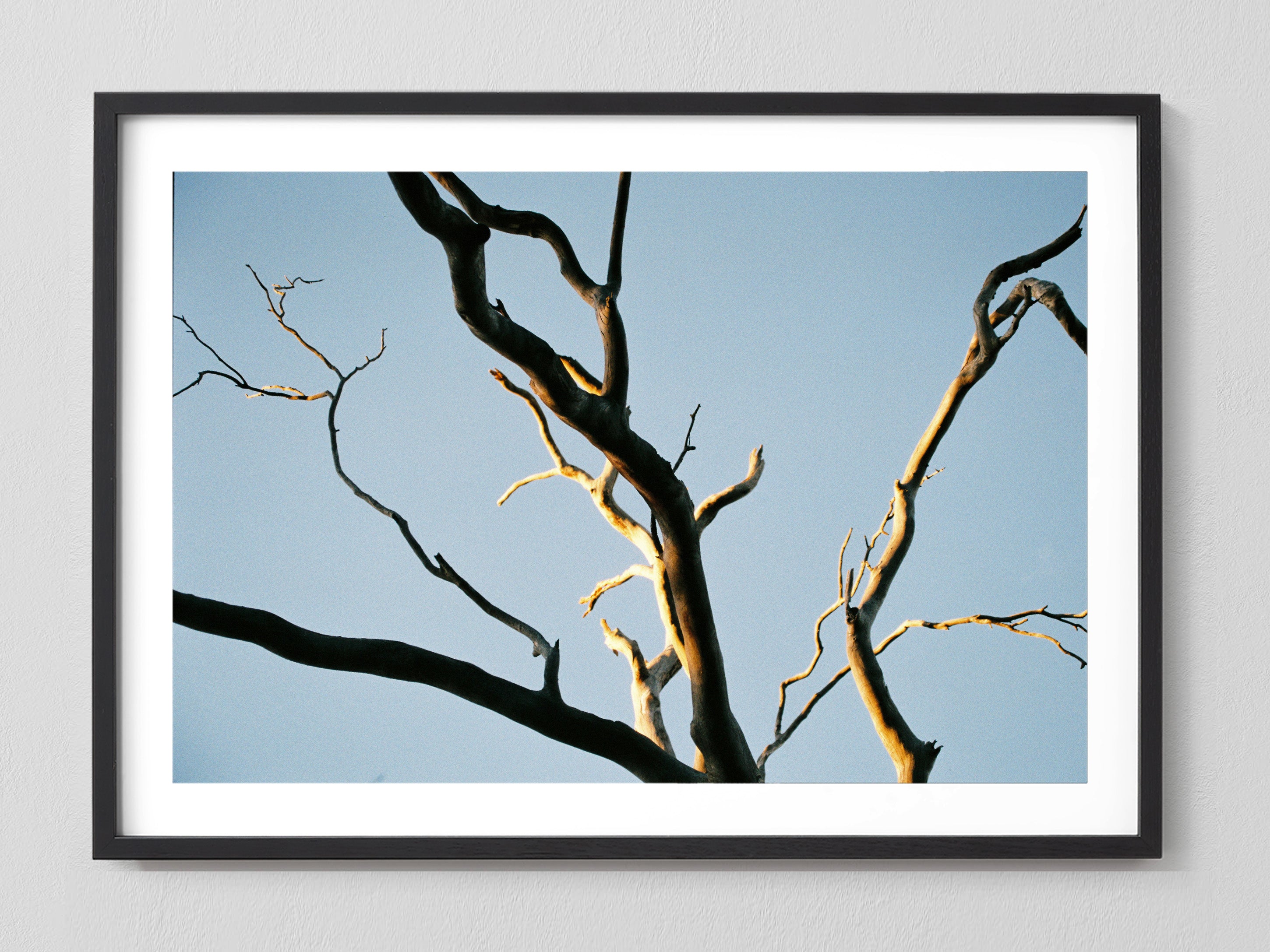Intertwined