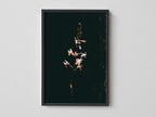 Hidden Flower