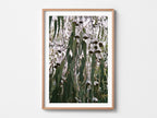 Hanging Gums