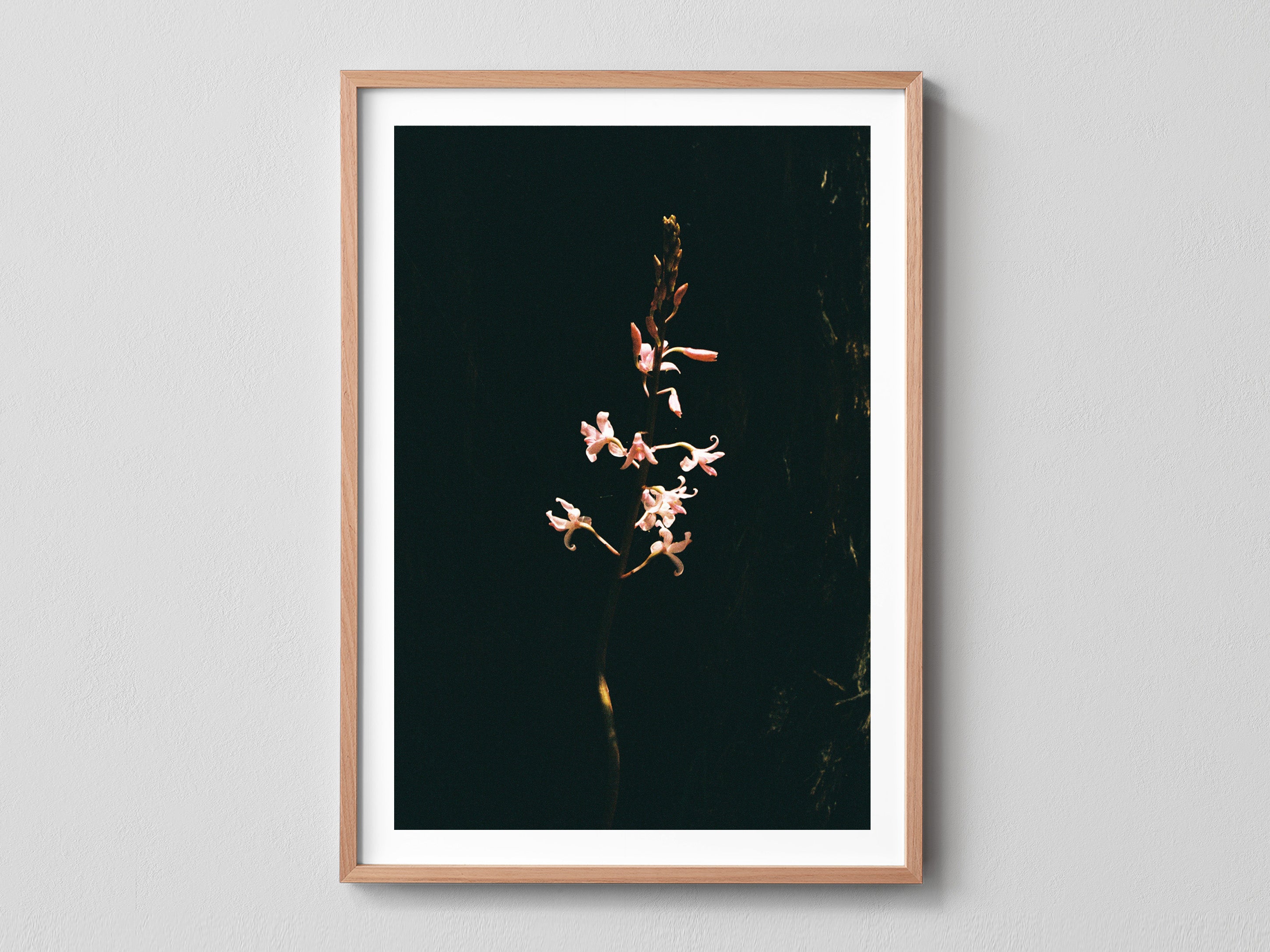 Hidden Flower