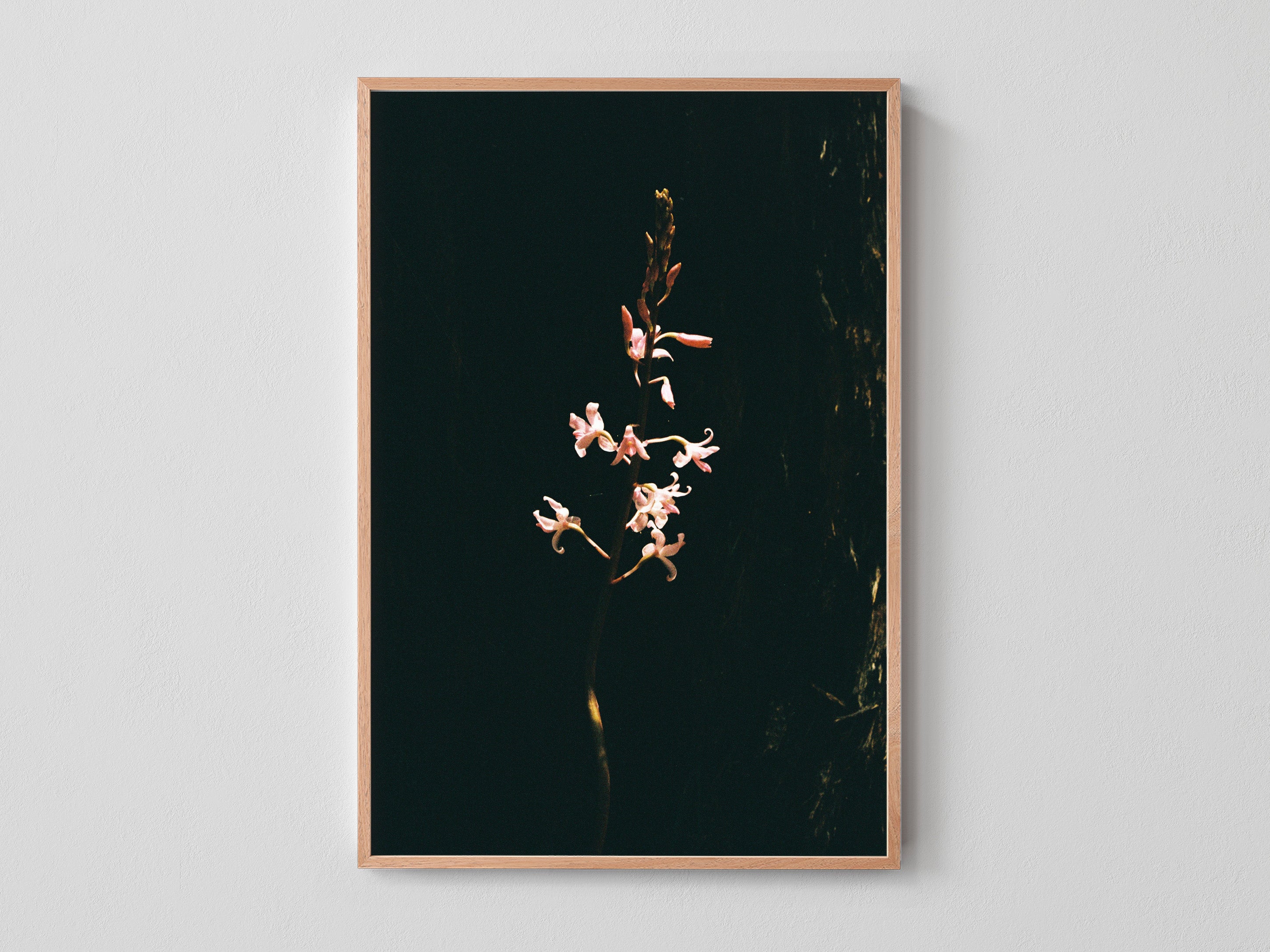 Hidden Flower