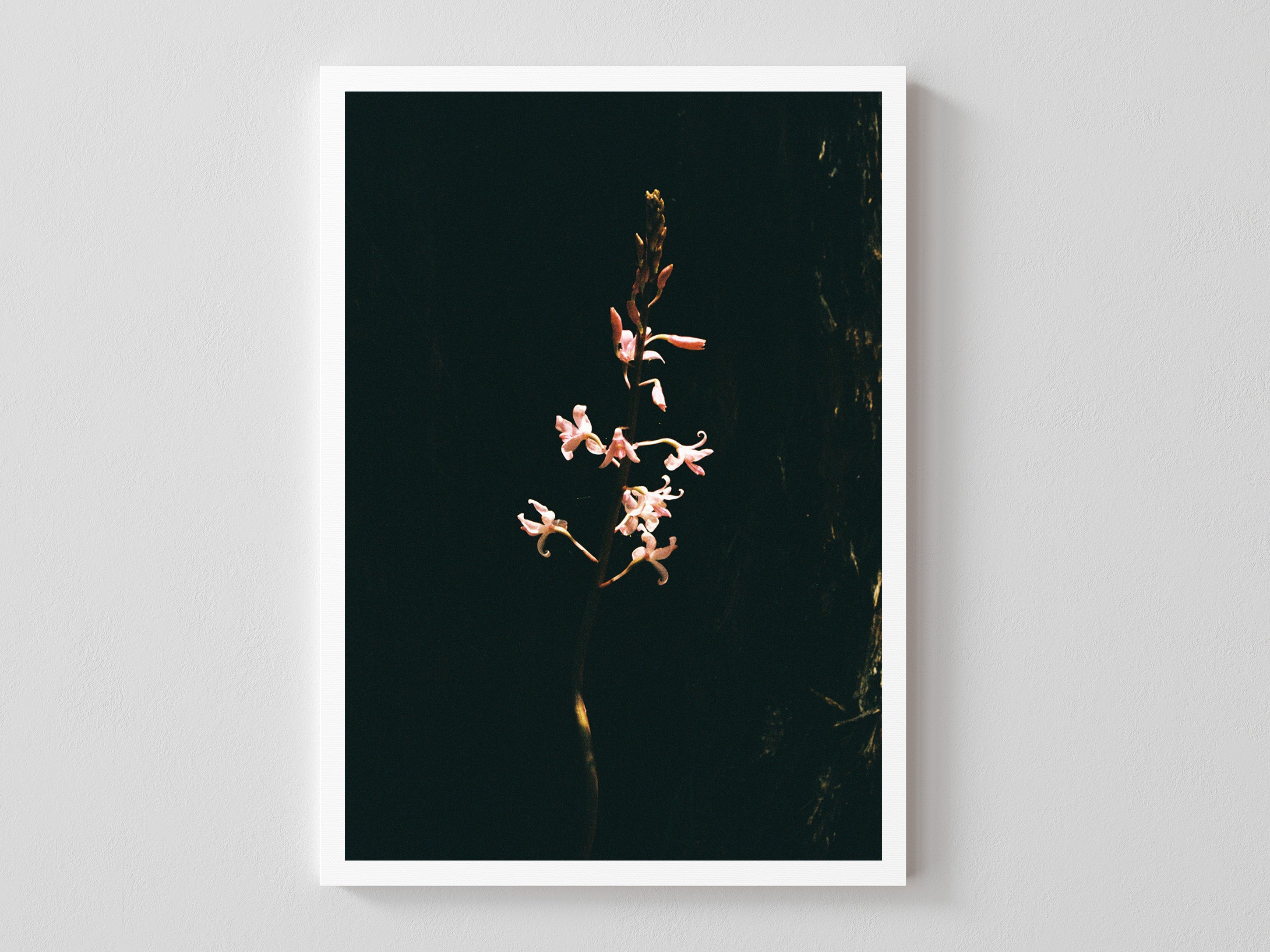 Hidden Flower