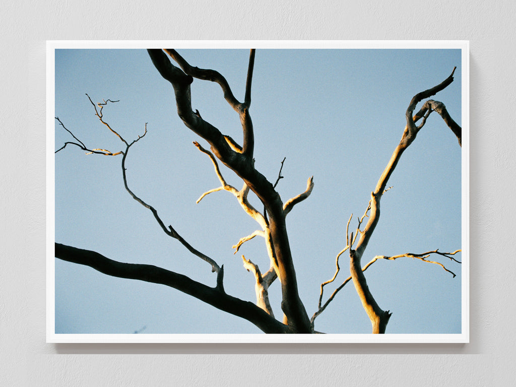 Intertwined