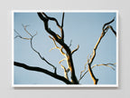 Intertwined