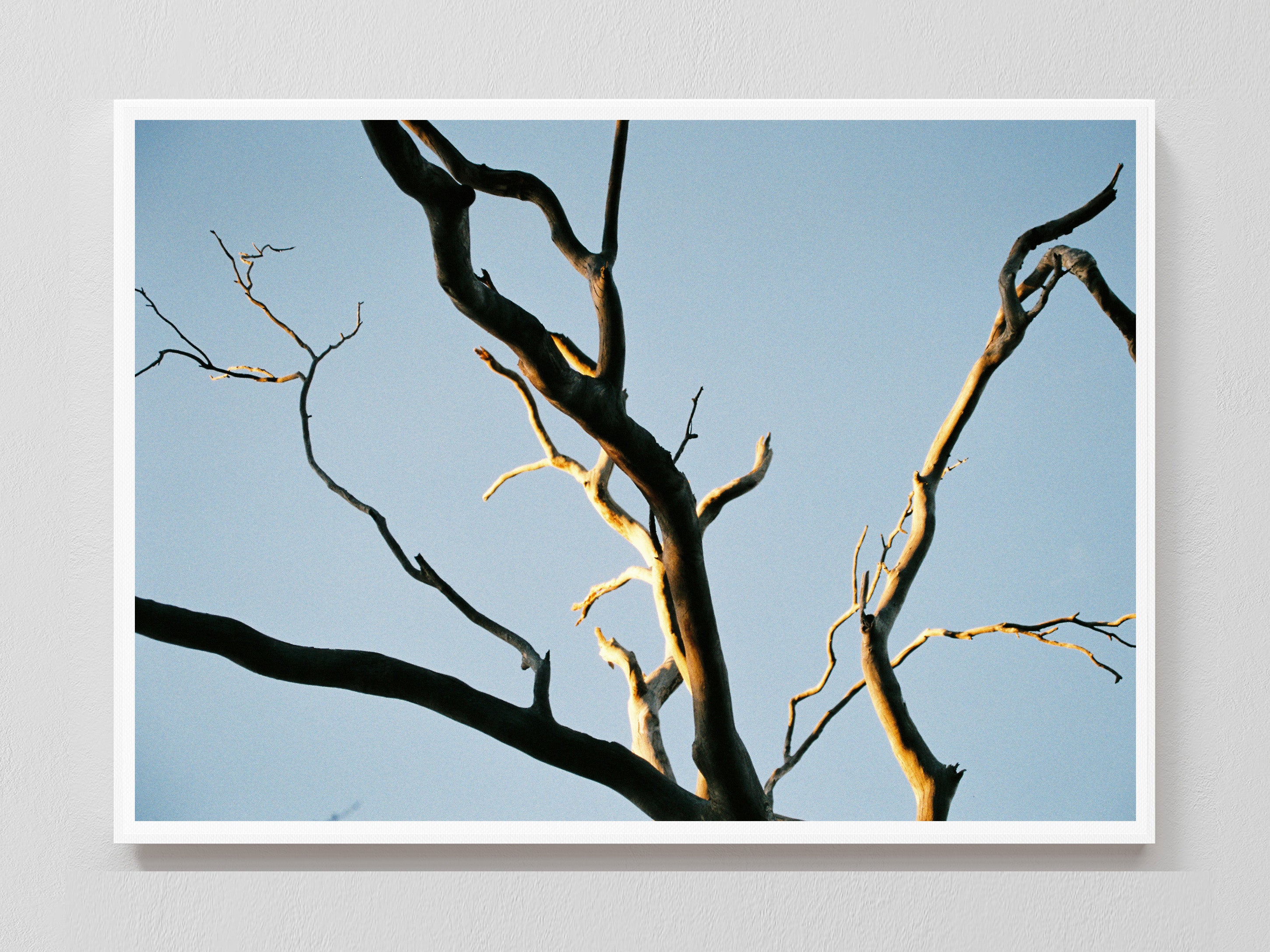 Intertwined