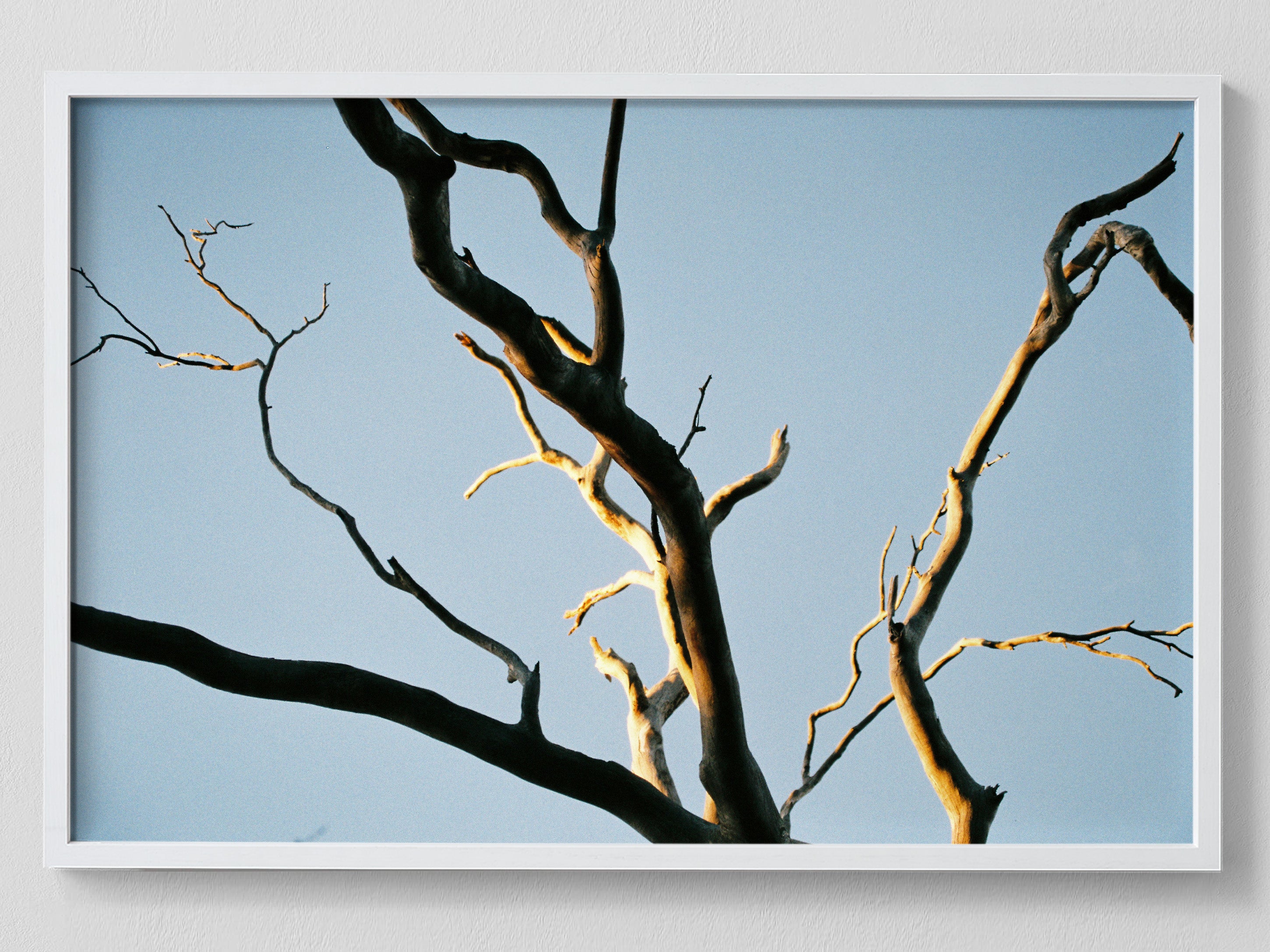 Intertwined