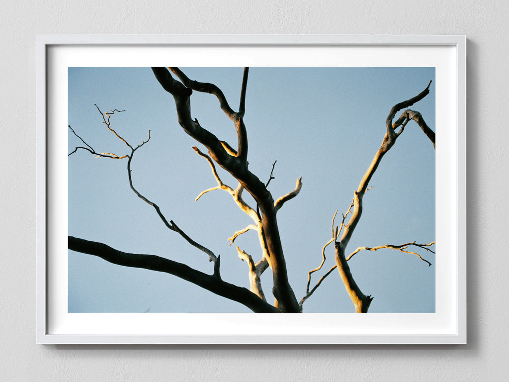 Intertwined