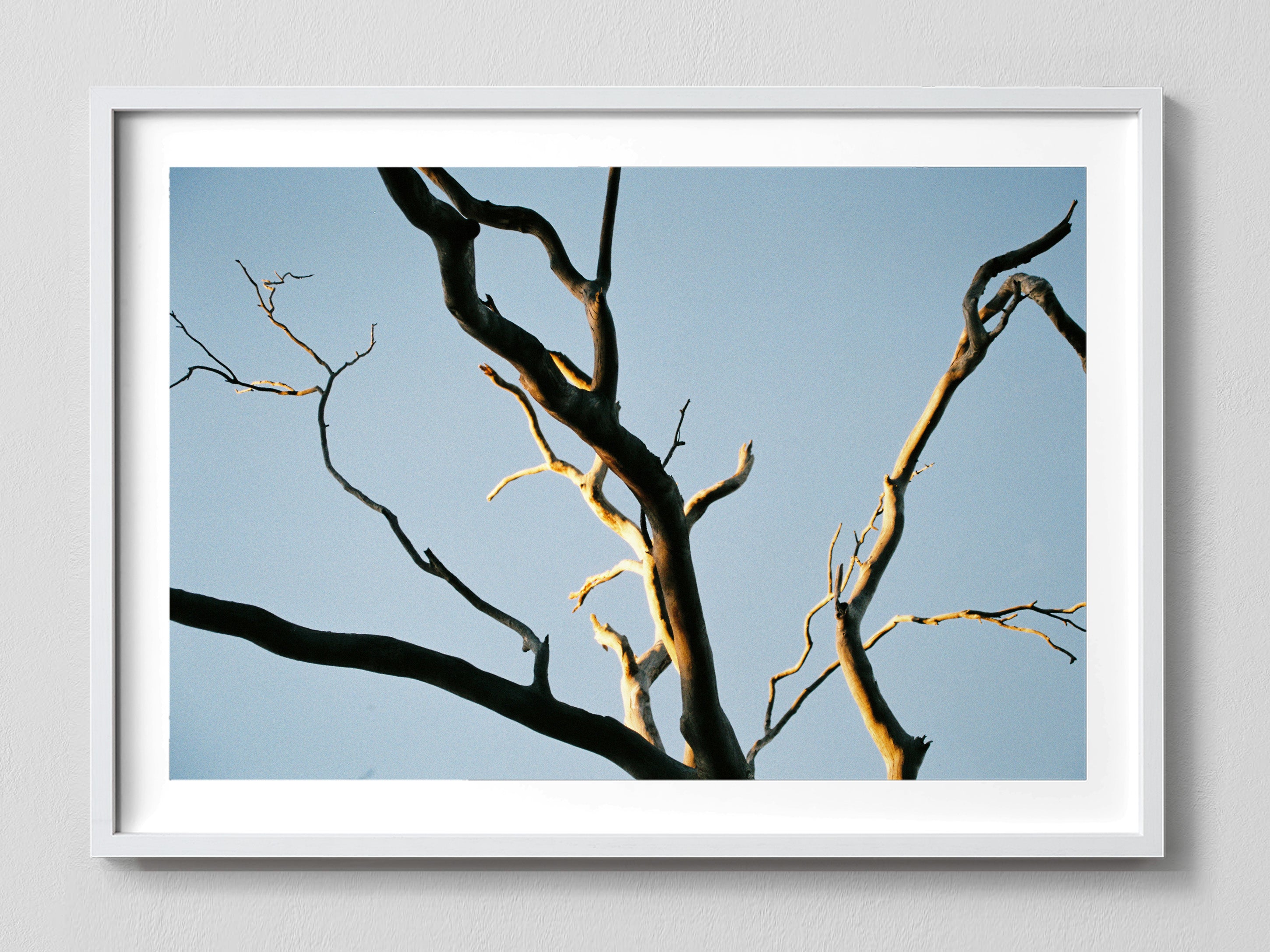 Intertwined