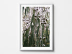 Hanging Gums