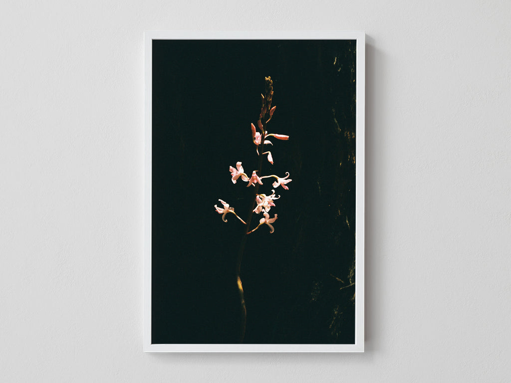 Hidden Flower