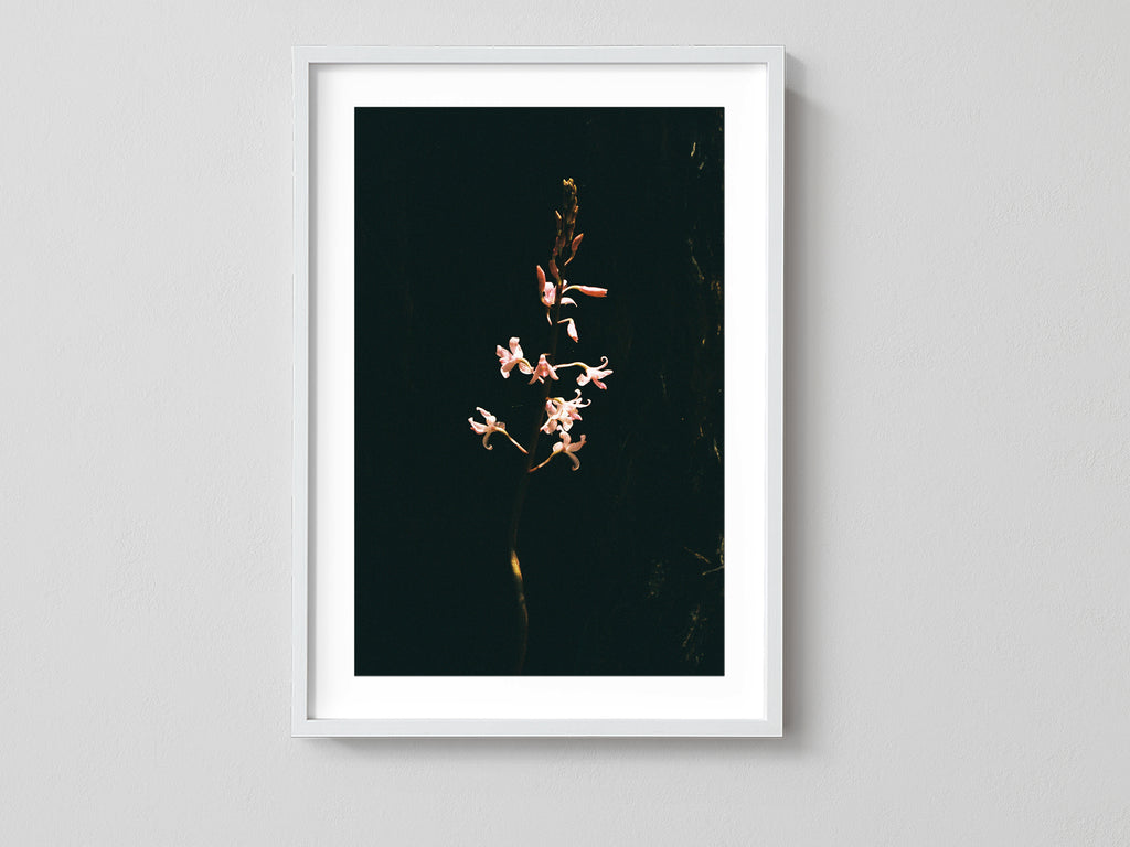 Hidden Flower