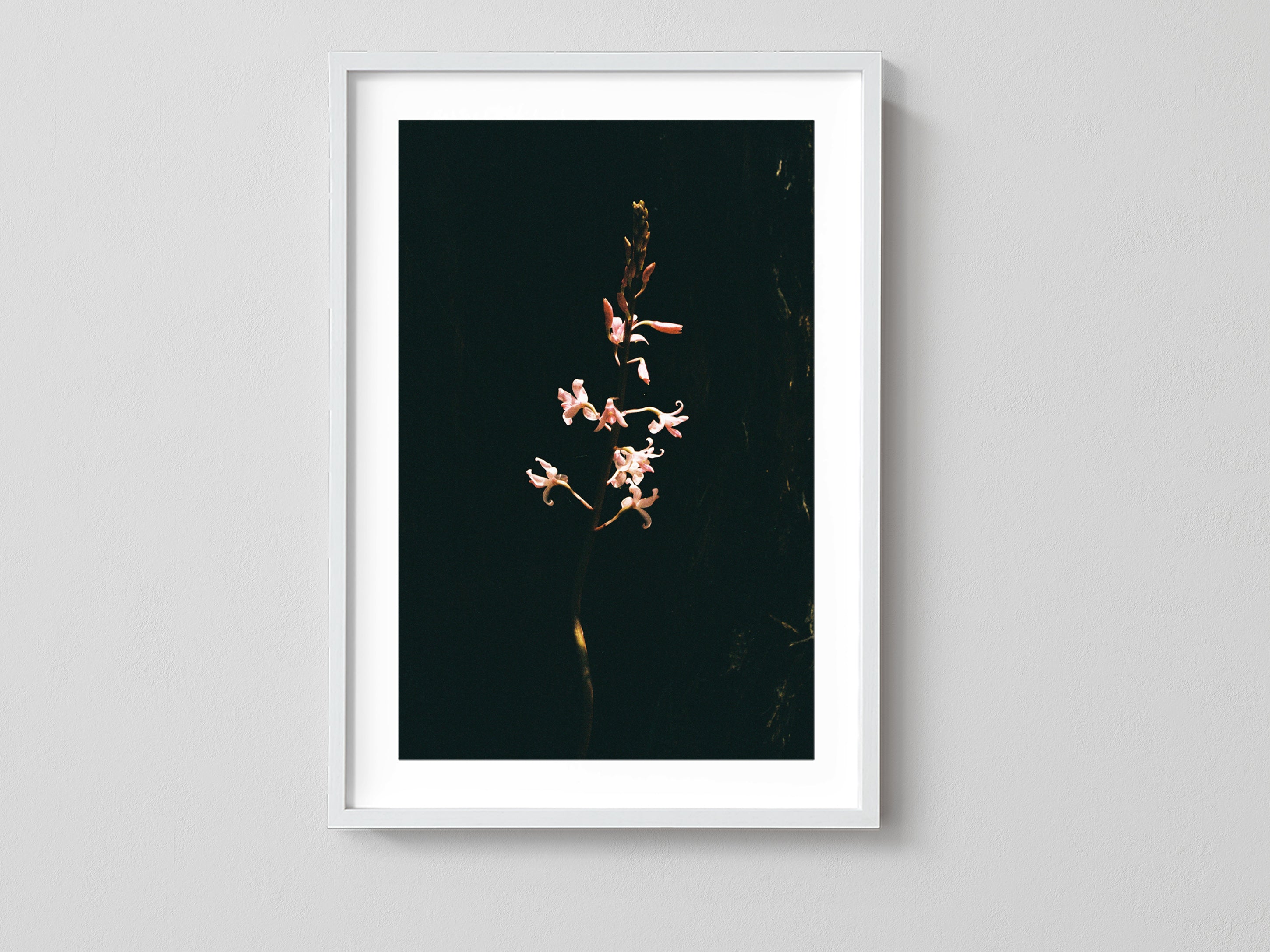 Hidden Flower